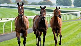 マイル王は誰だ？歴代マイルランキング